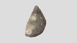 Hastings Museum Flint Spearhead