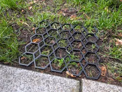 Lawn grass protection grid with spikes