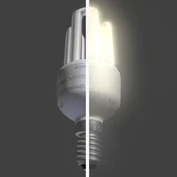 light bulb