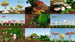 Mushrooms 3D Model Pack