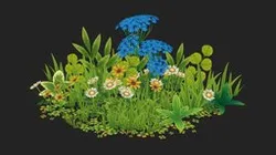 Plenty o' Plants