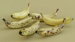 Realistic Banana 3D Scan 1 Mesh with 6 Ripeness Textures Low-poly 3D model