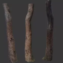 Tree Branch 3D model