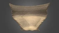 8 01A