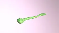 Conodont Animal (animated)