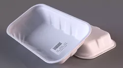 Disposable Food Containers 3D model