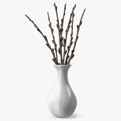 Dry Willow Branches in Vase Fur 3D model