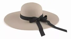 Elegant Women Sun Hat with Bow 3D model