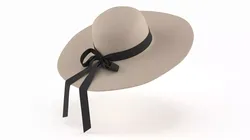 Fashionable Wide Brim Hat with Bow 3D model