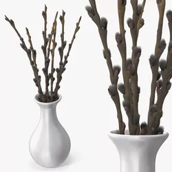 Fresh Willow Branches in Vase Fur 3D model