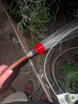 Garden hose shower head