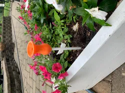 Humming Bird Feeder