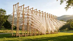 Linear Gradient Organic Leaf Pavilion 3D model