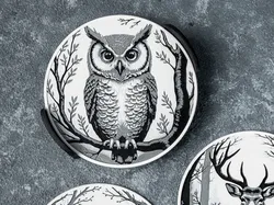 Midnight Forest Wildlife Coasters