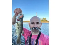 Tariff Free BFS Lipless Crankbait 1.5 Inch w/ Lure Stencil *9.27.24 Update For Optimal Bambu lab Print*