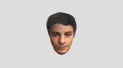 Barry Allen head