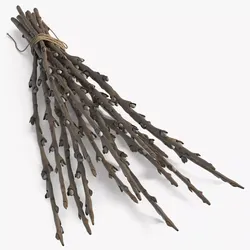 Bunch of Willow Branches Dry 3D model