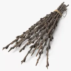 Bunch of Willow Branches Dry Fur 3D model