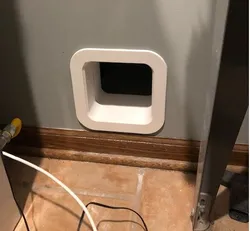 Cat Door