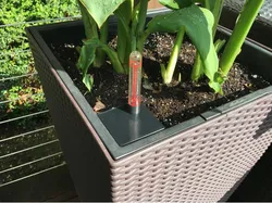 Corner cover for Lechuza CUBICO self-watering planter