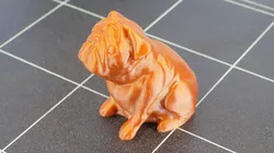 Josef Prusa's pug Buddy