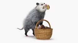 Opossum with Basket Mushrooms Fur 3D model