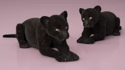 Panther Cub Lying Down Fur for Cinema 4D 3D model