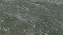 Procedural Ocean 3D model
