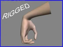 realistic hand rigged