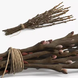 Sheaf of Willow Branches Fresh 3D model