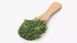 Spoon of Rosemary 3D model