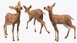 White-Tailed Fawn Deer Rigged 3D model