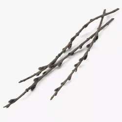 Willow Branches Dry Fur 3D model