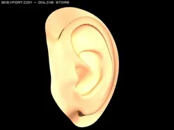 earmodel Free