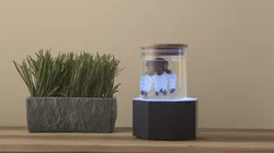 Robotic Creatures