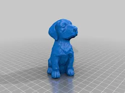 Sitting Dog - 3D Scan