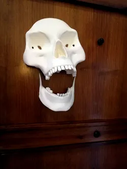 Skeletons are coming!