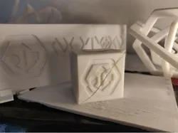 Twisted Puzzle Cube  (nutonprint)