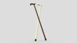 Walking Stick 2