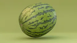 Watermelon Photogrammetry 3D Scan PBR Low-poly 3D model