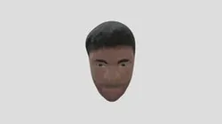 Bust