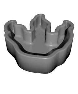 Dinosaur Footprint Birdseed Bowl