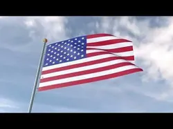 Flag USA animated loop 3D model