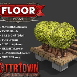 Floor - Foliage - Shrub (SMALL) - Conifer - Base (EDGE) - Bed Border - 01.5