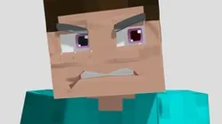 Steve rig
