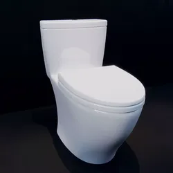 TOTO Aquia 3D model