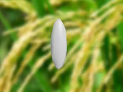 3D Printable Rice Grain