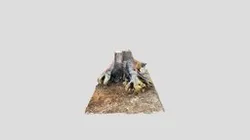 A strange and mysterios thing-poly
