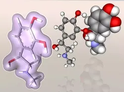 Adrenaline molecule 3D model