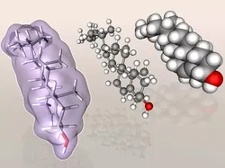 Cholesterol molecule 3D model